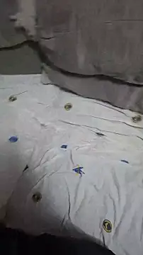 MagneticLust webcam