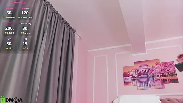 MayaSpringX webcam