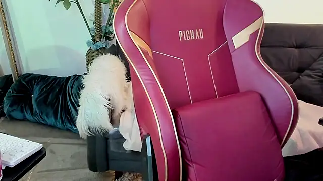 LauraColour webcam