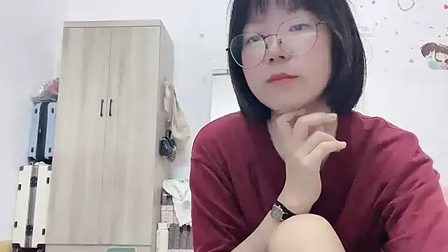 Belle-LL webcam
