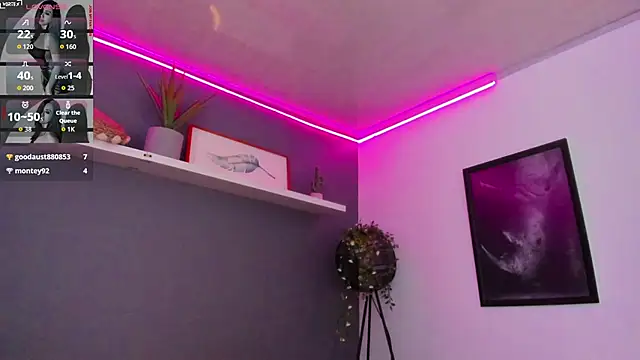 Abbyy_stone webcam