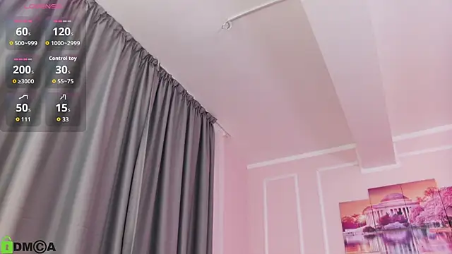 MayaSpringX webcam