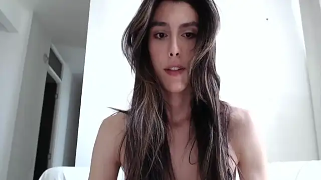 dollache webcam