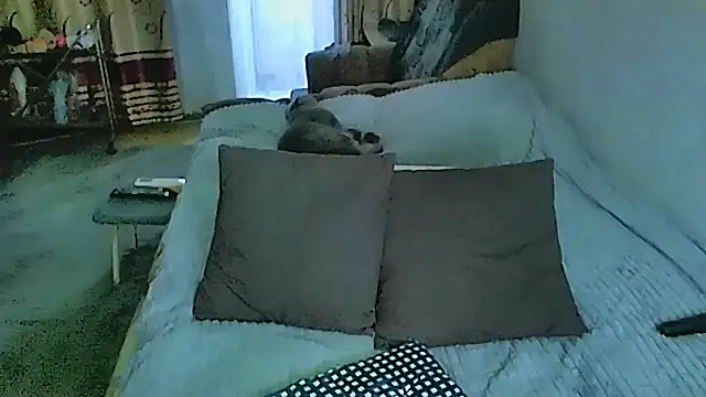 sex2 webcam
