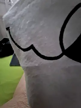 spidrman8 webcam