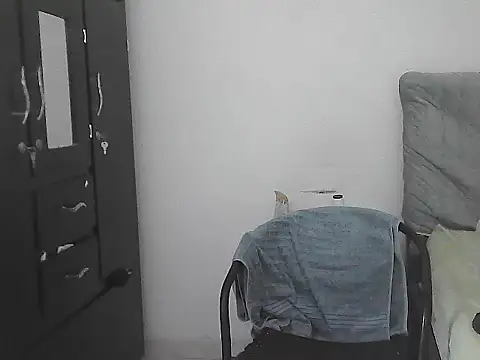 IronSideBear webcam
