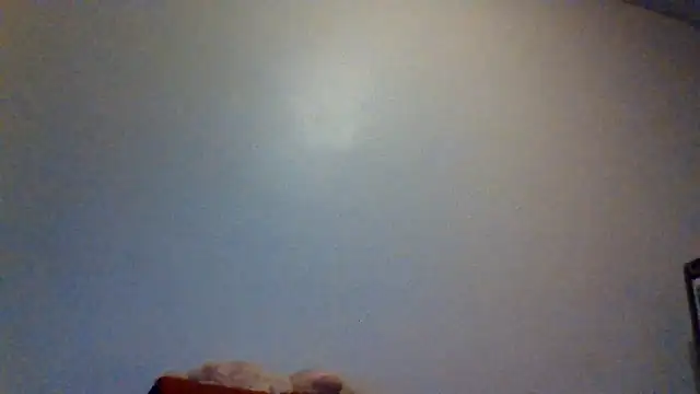 Velvetraexo webcam