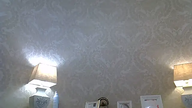 ZarinaSwift webcam