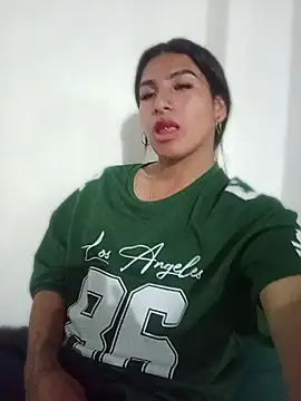 MeelFox webcam