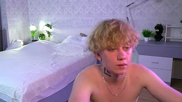 sky_dian webcam