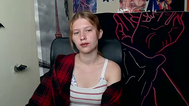 StellaCRL webcam