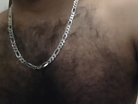 indianhairybull webcam