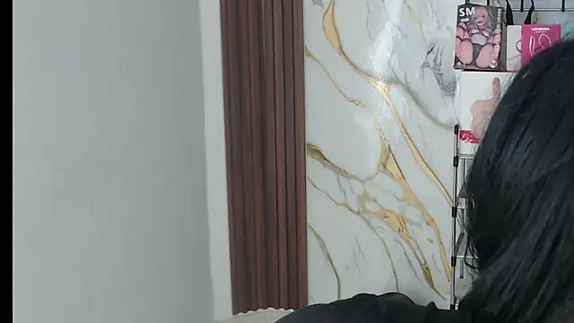 valen_ros webcam