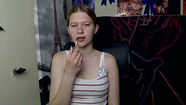 StellaCRL webcam