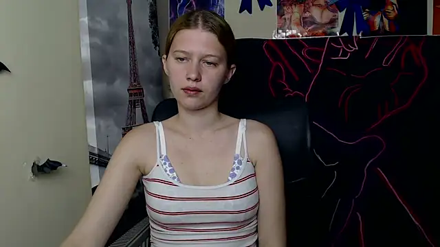 StellaCRL webcam