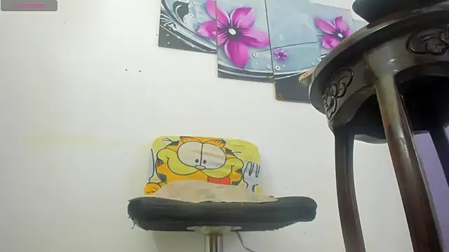 baiolethX webcam