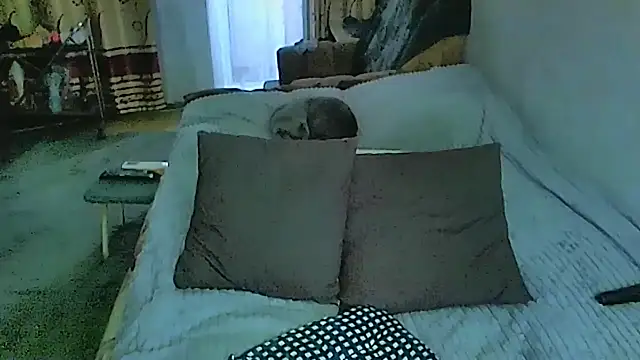 sex2 webcam