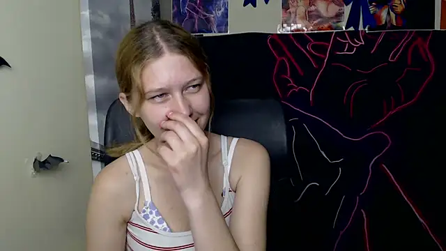 StellaCRL webcam