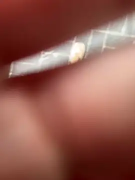 Tw_Zoella live sex cam