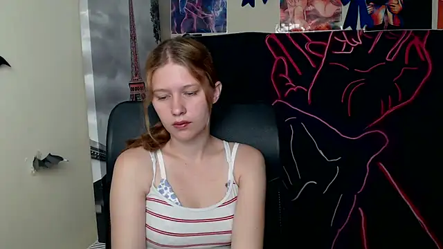 StellaCRL webcam