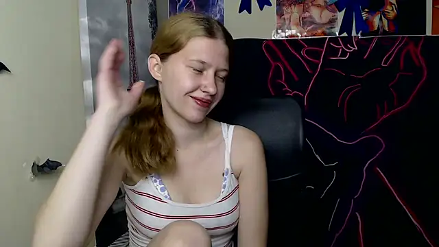 StellaCRL webcam