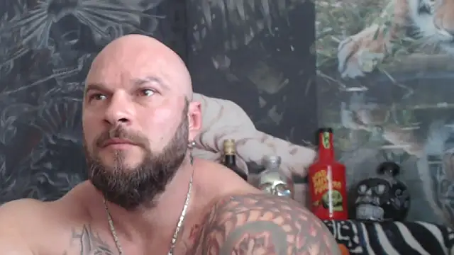 viking_30 webcam