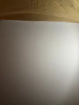 BunnyYT webcam