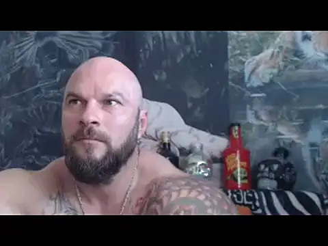 viking_30 webcam