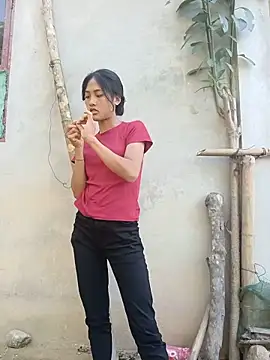 Hoa-tuylip