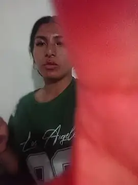 MeelFox webcam
