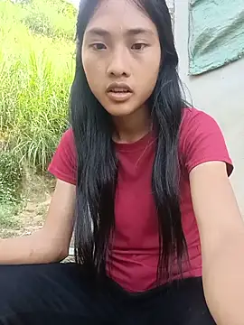 Hoa-tuylip webcam