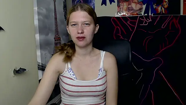 StellaCRL webcam