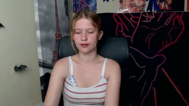 StellaCRL webcam