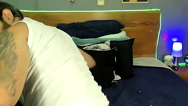 Prometeo-grizzly webcam