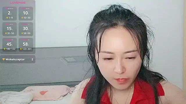 fanfan-FF webcam