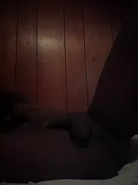 misterincred webcam