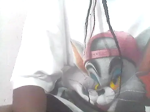 Leeratoe webcam