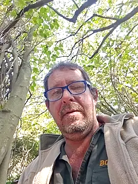 TryingWind webcam