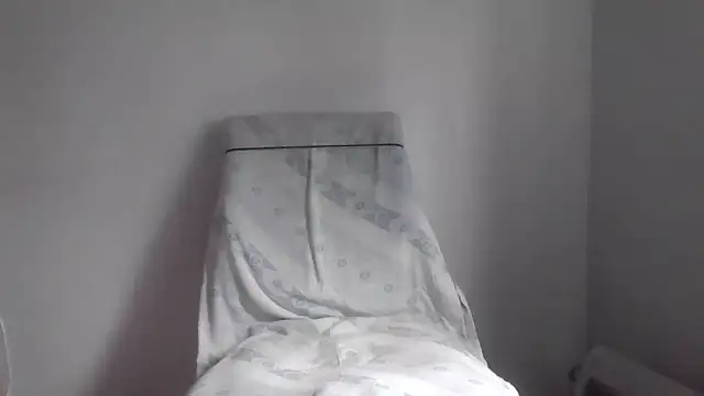 fl3xxx1 webcam