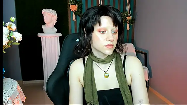 LidaDarknet webcam