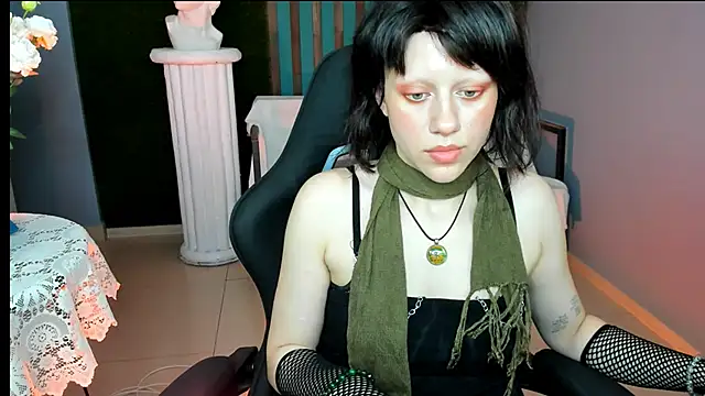 LidaDarknet webcam