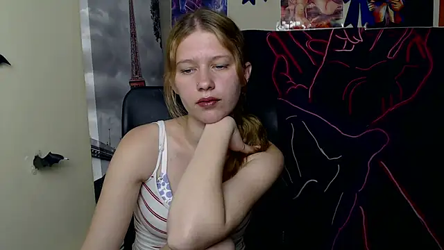 StellaCRL webcam