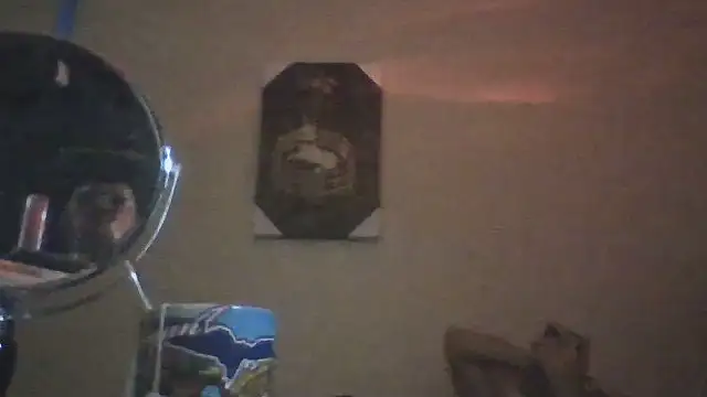 hailzeffn webcam