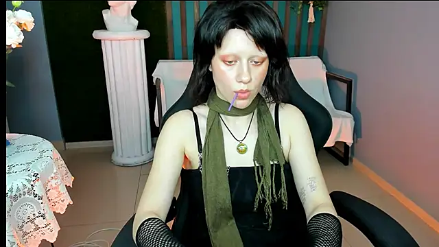 LidaDarknet webcam