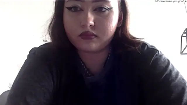 AriaWet webcam