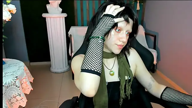 LidaDarknet webcam