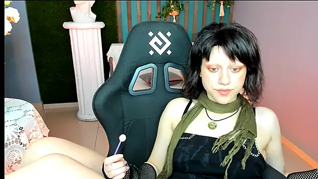 LidaDarknet webcam