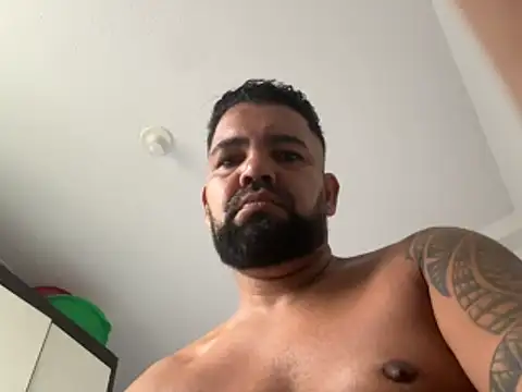 adgato webcam