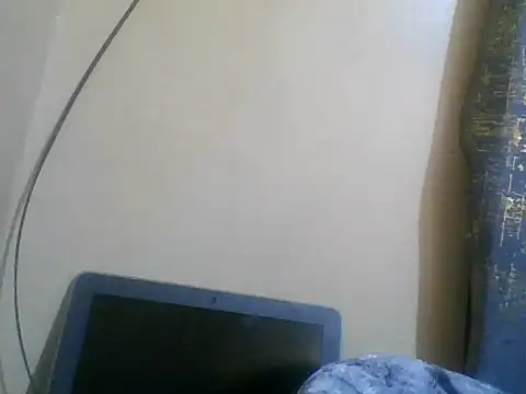 valley_pixy webcam