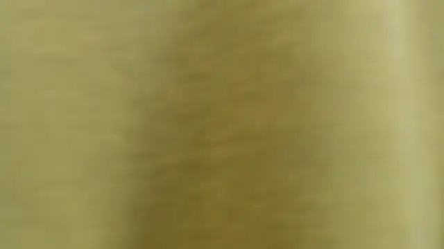 PervertPreggy webcam